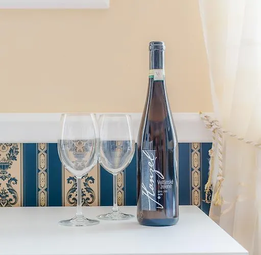 Apartmán Vinařské